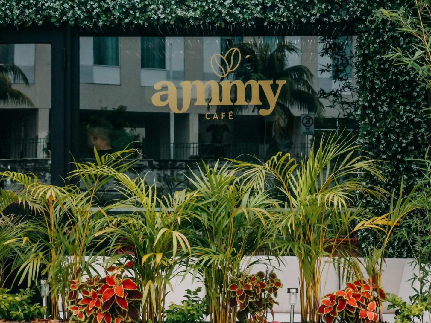 Ammy Café