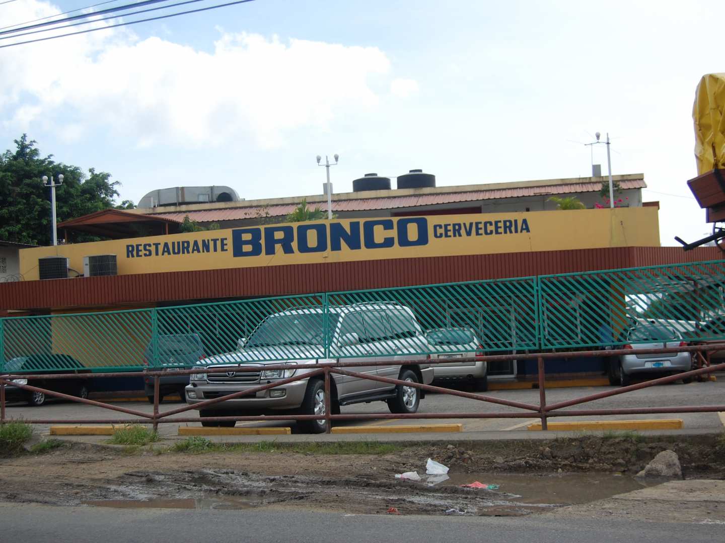 Bronco Steaks